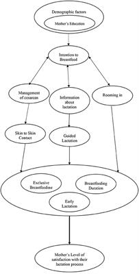 Pro-lactation cesarean section: Immediate skin-to-skin contact and its influence on prolonged breastfeeding